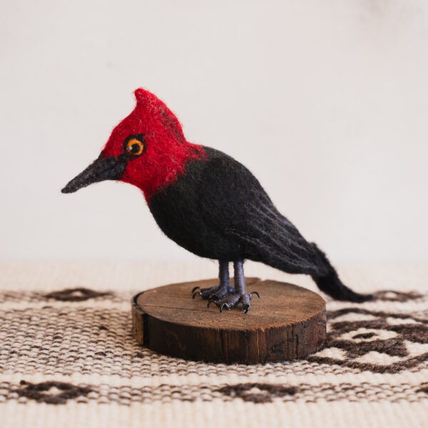 Pajaro carpintero 3