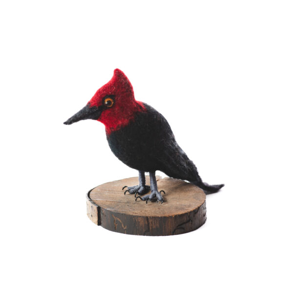 Pajaro nacional_fieltro_2