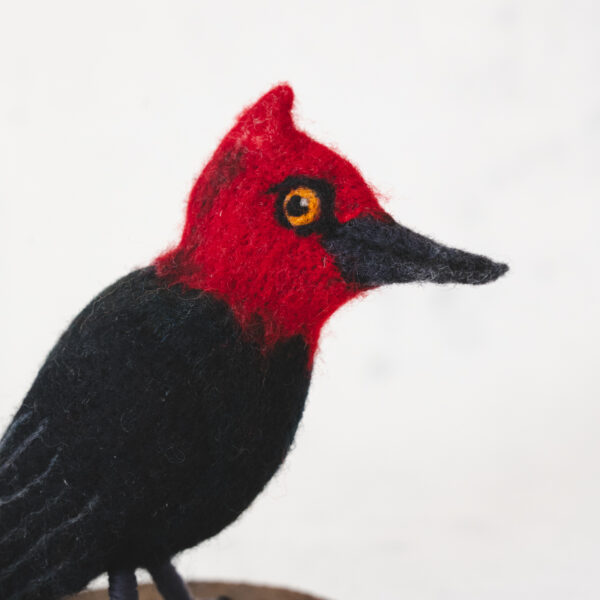 Pajaro nacional_fieltro_9
