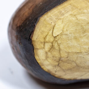 castana madera (1)