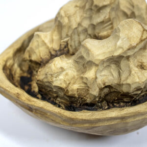 nuez de madera (2)