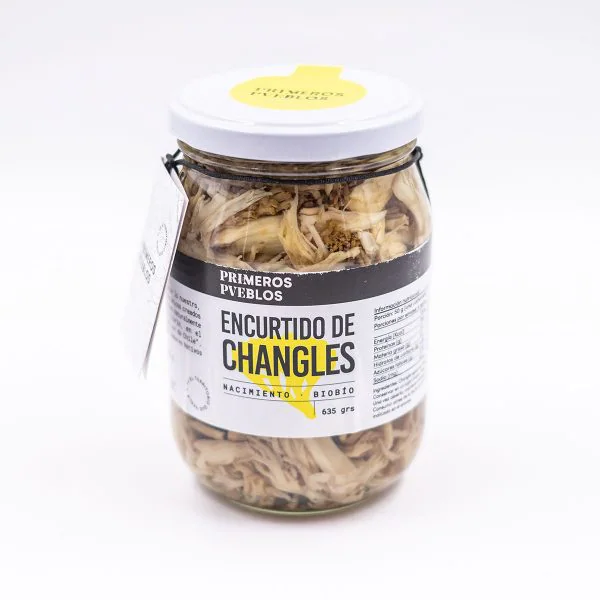 encurtido-changles-5