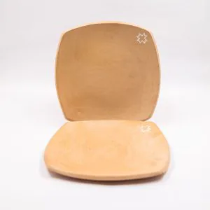 plato-diseno-3