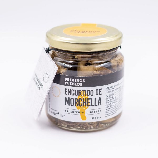 morchella-2