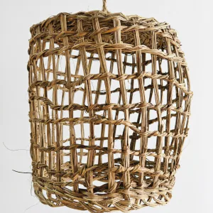 Lampara pita variedad 20 cm (1)