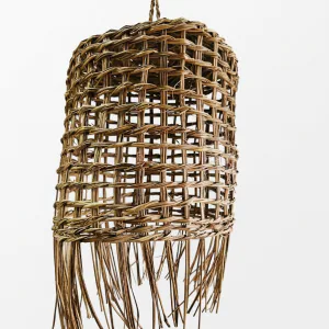 Lampara pita variedad 20 cm (2)