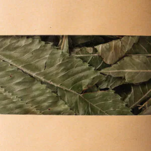 Triaca