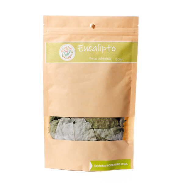 Eucalipto