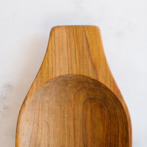 PP Enero fondo color-22