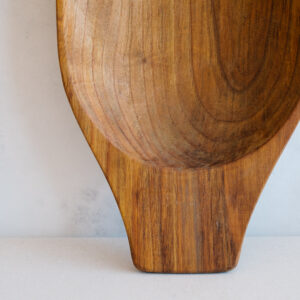 PP Enero fondo color-23