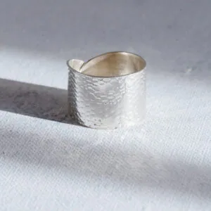 Anillo plata textura madera_3