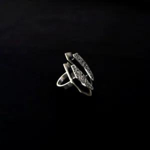 anillo protección 3
