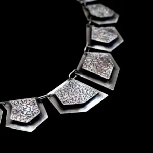 collar protección 2