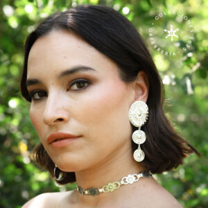 Aros Camino al Interior