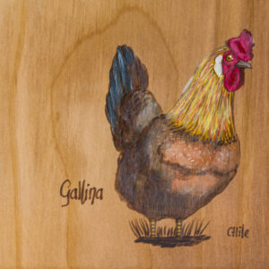 Tabla de picoteo aves chilenas mediana