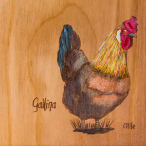 Tabla de picoteo aves chilenas mediana