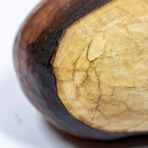 castana madera (1)