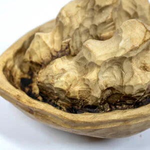 nuez de madera (2)