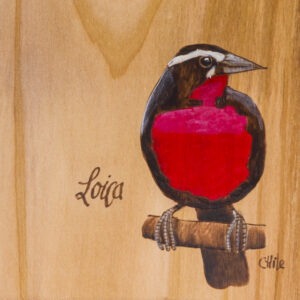 Tabla de picoteo aves chilenas mediana