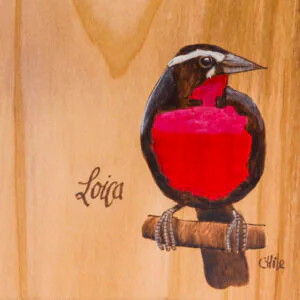 Tabla de picoteo aves chilenas mediana