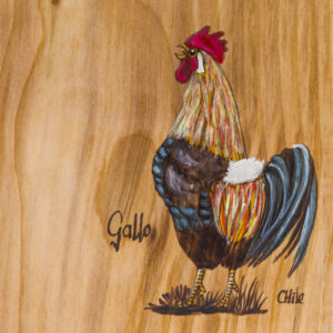 Tabla de picoteo aves chilenas mediana