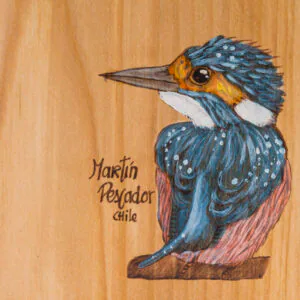 Tabla de picoteo aves chilenas mediana