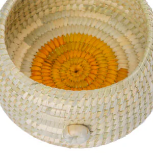 CTNM000015 (1)