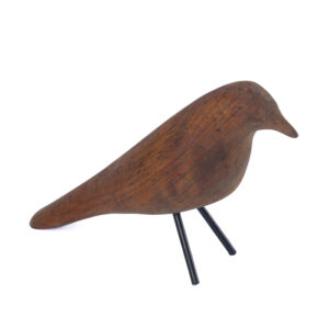 Chongo lingue rojo (5)