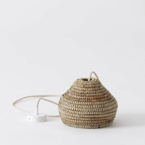 lampara pita NC26 (2)