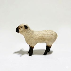 cordero chico Lingue Rojo