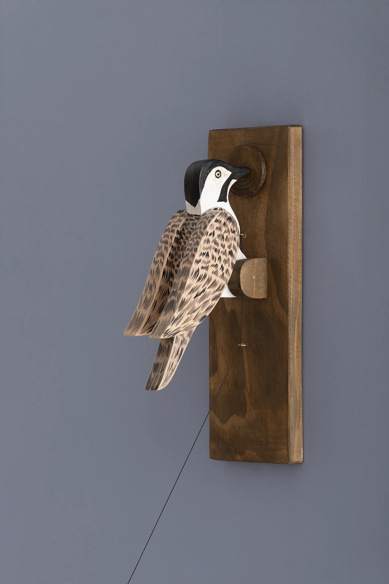 Figura de ave en madera instalada sobre panel azul, Colección Color
